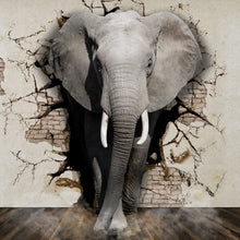 Lade das Bild in den Galerie-Viewer, Aluminiumbild Elefant kommt aus der Wand Quadrat
