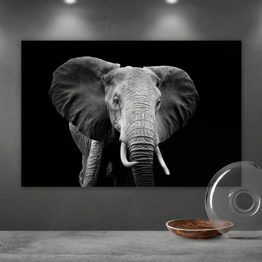 Aluminiumbild Elefant Schwarz Weiß Querformat