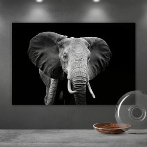 Acrylglasbild Elefant Schwarz Weiß Querformat