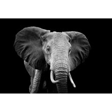 Lade das Bild in den Galerie-Viewer, Acrylglasbild Elefant Schwarz Weiß Querformat
