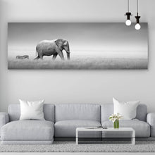 Lade das Bild in den Galerie-Viewer, Aluminiumbild Elefant und Zebra Panorama
