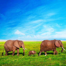Lade das Bild in den Galerie-Viewer, Aluminiumbild gebürstet Elefanten Familie in Kenia Quadrat
