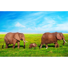 Lade das Bild in den Galerie-Viewer, Aluminiumbild gebürstet Elefanten Familie in Kenia Querformat
