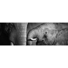 Lade das Bild in den Galerie-Viewer, Leinwandbild Elefanten Liebe Panorama
