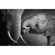 Lade das Bild in den Galerie-Viewer, Aluminiumbild Elefanten Liebe Querformat
