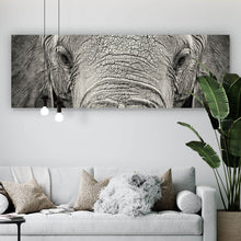 Lade das Bild in den Galerie-Viewer, Aluminiumbild gebürstet Elefanten Portrait Panorama
