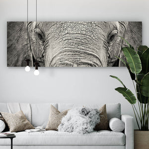 Aluminiumbild gebürstet Elefanten Portrait Panorama