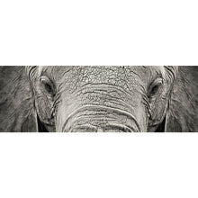 Lade das Bild in den Galerie-Viewer, Aluminiumbild Elefanten Portrait Panorama
