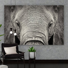 Lade das Bild in den Galerie-Viewer, Aluminiumbild gebürstet Elefanten Portrait Querformat
