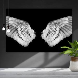 Aluminiumbild Engelsflügel auf schwarzem Hintergrund Querformat