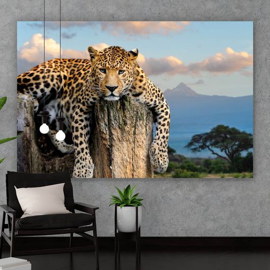 Aluminiumbild gebürstet Entspannter Leopard No.2 Querformat