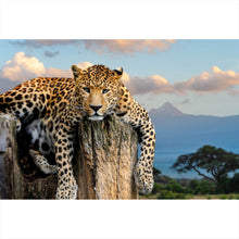 Lade das Bild in den Galerie-Viewer, Aluminiumbild gebürstet Entspannter Leopard No.2 Querformat
