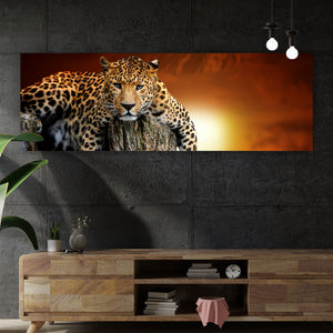 Aluminiumbild gebürstet Entspannter Leopard Panorama
