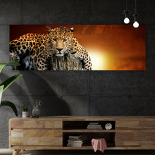 Lade das Bild in den Galerie-Viewer, Leinwandbild Entspannter Leopard Panorama
