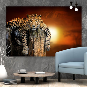 Aluminiumbild gebürstet Entspannter Leopard Querformat