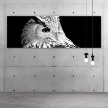 Lade das Bild in den Galerie-Viewer, Aluminiumbild Eule auf schwarzem Hintergrund Panorama
