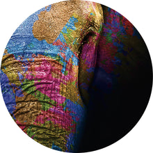 Lade das Bild in den Galerie-Viewer, Aluminiumbild gebürstet Farbenfroher Elefantenkopf Kreis
