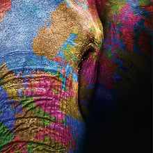 Lade das Bild in den Galerie-Viewer, Aluminiumbild gebürstet Farbenfroher Elefantenkopf Quadrat
