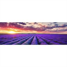 Lade das Bild in den Galerie-Viewer, Poster Fliederfeld im Sonnenuntergang Panorama
