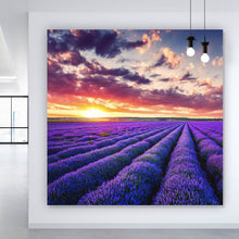 Lade das Bild in den Galerie-Viewer, Aluminiumbild gebürstet Fliederfeld im Sonnenuntergang Quadrat
