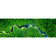 Lade das Bild in den Galerie-Viewer, Poster Fluss mit blühenden Algen Panorama
