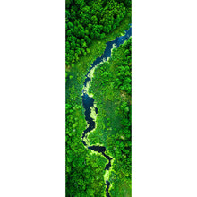 Lade das Bild in den Galerie-Viewer, Poster Fluss mit blühenden Algen Panorama Hoch
