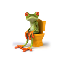 Lade das Bild in den Galerie-Viewer, Spannrahmenbild Frosch auf Toilette Querformat
