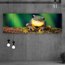 Lade das Bild in den Galerie-Viewer, Aluminiumbild gebürstet Frosch Smile Panorama
