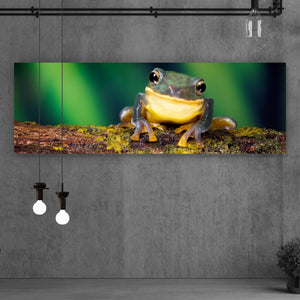Aluminiumbild gebürstet Frosch Smile Panorama