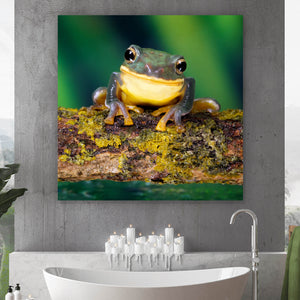 Acrylglasbild Frosch Smile Quadrat