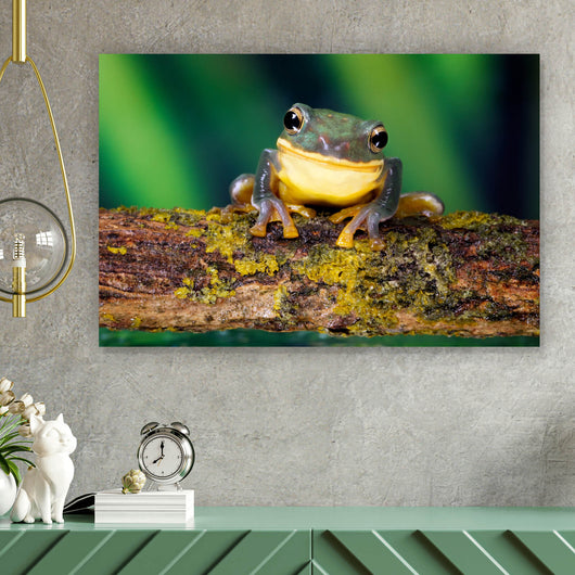 Poster Frosch Smile Querformat