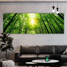 Lade das Bild in den Galerie-Viewer, Aluminiumbild gebürstet Wald im Sonnenlicht Panorama
