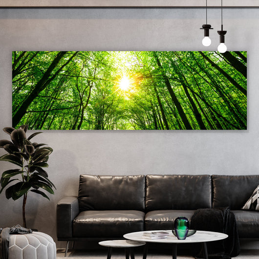 Aluminiumbild Wald im Sonnenlicht Panorama