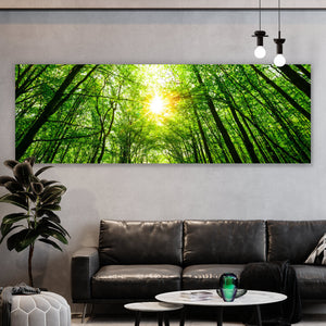 Spannrahmenbild Wald im Sonnenlicht Panorama