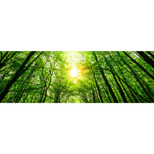Lade das Bild in den Galerie-Viewer, Acrylglasbild Wald im Sonnenlicht Panorama
