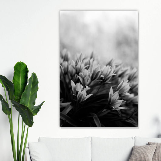 Acrylglasbild Frühlingsblumen in Schwarz Weiß Hochformat