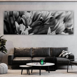 Aluminiumbild Frühlingsblumen in Schwarz Weiß Panorama
