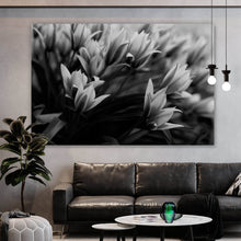 Lade das Bild in den Galerie-Viewer, Poster Frühlingsblumen in Schwarz Weiß Querformat
