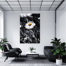Lade das Bild in den Galerie-Viewer, Aluminiumbild gebürstet Gänseblümchen im Schatten Hochformat
