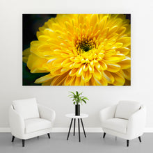 Lade das Bild in den Galerie-Viewer, Aluminiumbild Gelbe Blume Querformat
