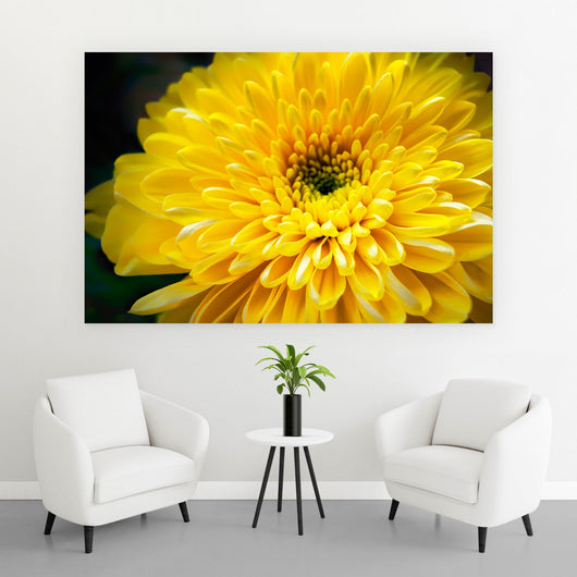 Aluminiumbild Gelbe Blume Querformat
