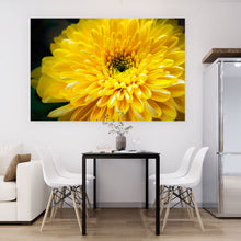 Lade das Bild in den Galerie-Viewer, Aluminiumbild Gelbe Blume Querformat
