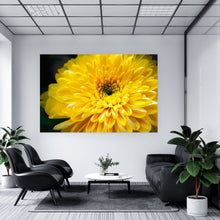 Lade das Bild in den Galerie-Viewer, Aluminiumbild gebürstet Gelbe Blume Querformat
