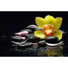 Lade das Bild in den Galerie-Viewer, Aluminiumbild gebürstet Gelbe Orchidee Feng Shui Querformat
