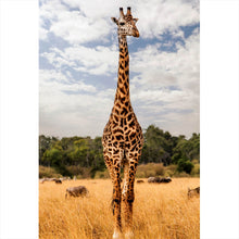Lade das Bild in den Galerie-Viewer, Aluminiumbild Giraffe in Kenia Hochformat
