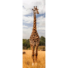 Lade das Bild in den Galerie-Viewer, Leinwandbild Giraffe in Kenia Panorama Hoch
