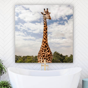 Aluminiumbild gebürstet Giraffe in Kenia Quadrat