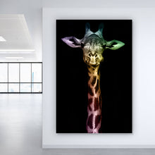 Lade das Bild in den Galerie-Viewer, Aluminiumbild Giraffen Portrait auf Schwarz Hochformat
