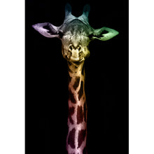 Lade das Bild in den Galerie-Viewer, Acrylglasbild Giraffen Portrait auf Schwarz Hochformat
