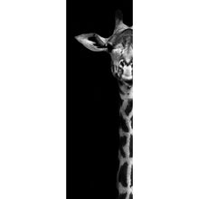 Lade das Bild in den Galerie-Viewer, Leinwandbild Giraffenportrait Schwarz-Weiss Panorama Hoch
